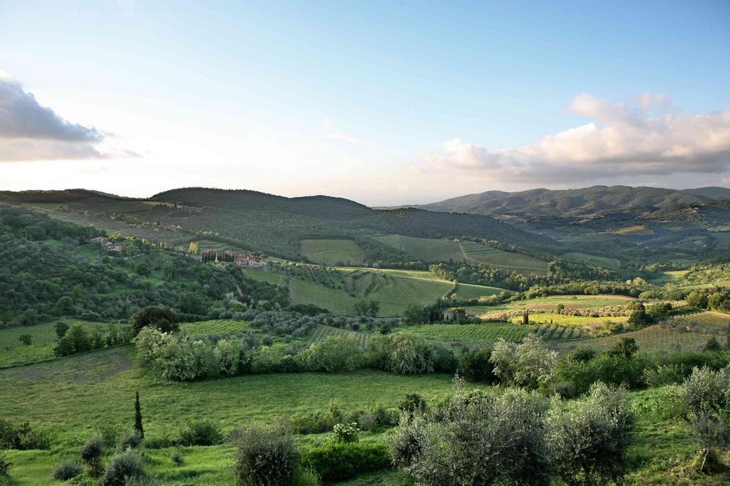 Residenza Antico Chianti Casa de hóspedes Panzano in Chianti Exterior foto