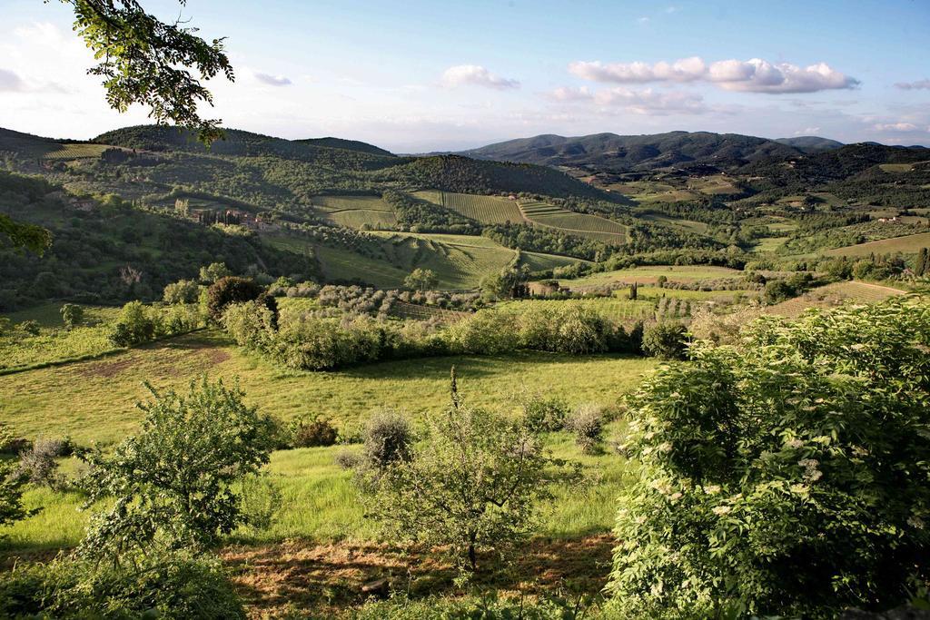 Residenza Antico Chianti Casa de hóspedes Panzano in Chianti Exterior foto